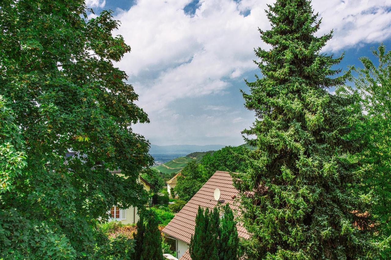 Relax Apartments Tannenhof Badenweiler Exterior foto